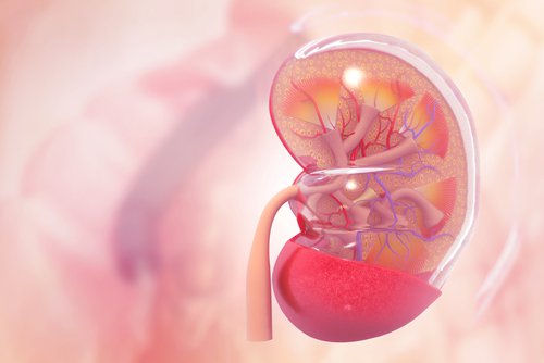 Nephrotic Syndrome
